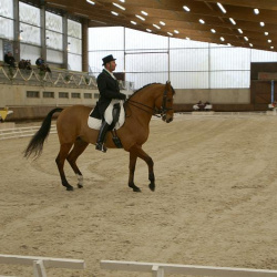 Photos Dressage